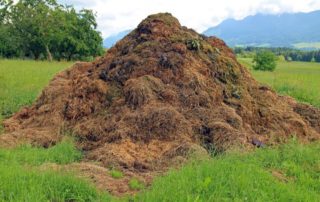 cumulo di compost