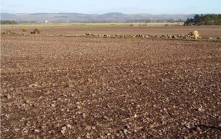 il terreno di un campo