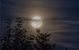 la luna nel cielo