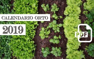 calendario dell'orto 2019