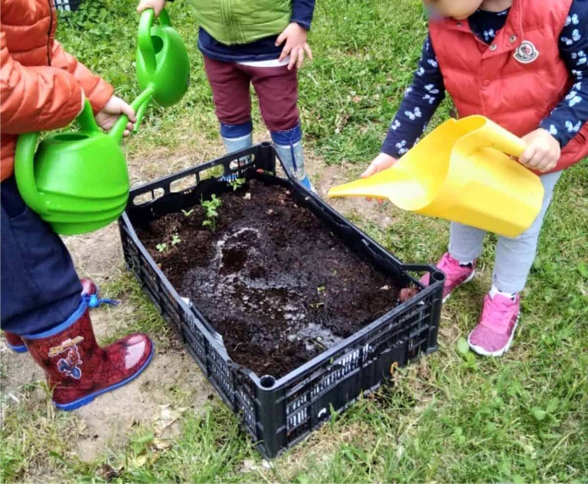 L Orto In Cassetta Come Farlo Con I Bambini