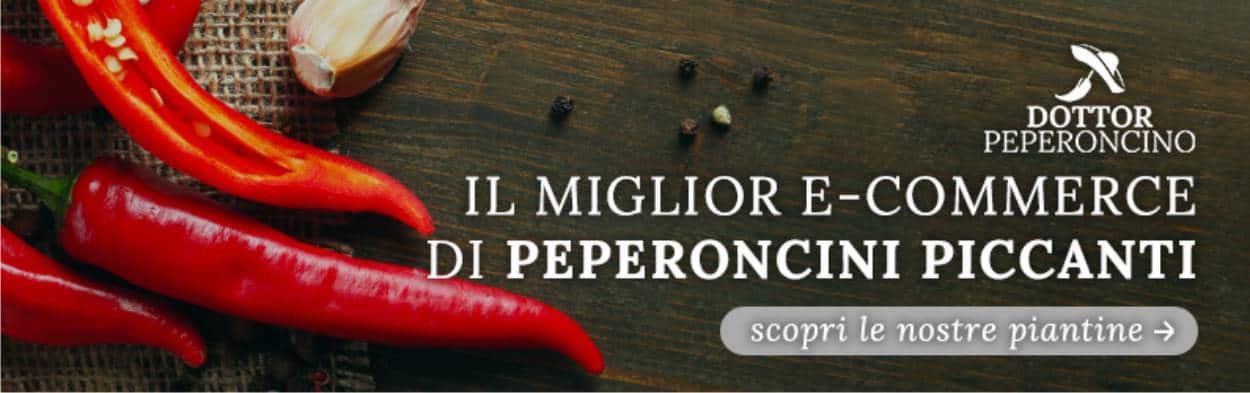 piantine di peperoncino