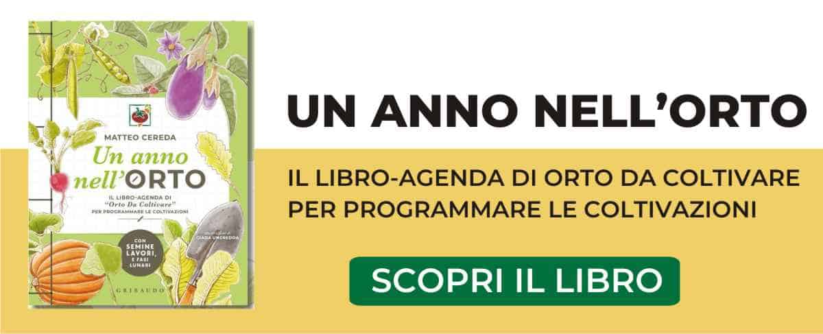 libro agenda orto