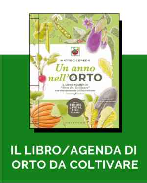 libro un anno nell'orto